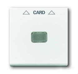 Плата центральная (накладка) для механизма карточного выключателя 2025 U, серия Basic 55, цвет альпийский белый - фото 110443