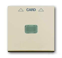 Плата центральная (накладка) для механизма карточного выключателя 2025 U, серия Basic 55, цвет слоновая кость - фото 110444