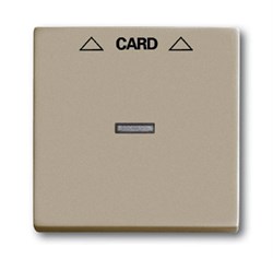 Плата центральная (накладка) для механизма карточного выключателя 2025 U, серия Basic 55, цвет шампань - фото 110449