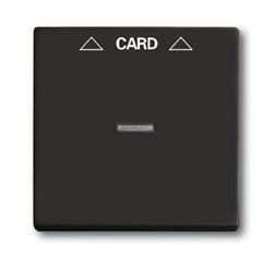 Плата центральная (накладка) для механизма карточного выключателя 2025 U, серия Basic 55, цвет ch?teau-black - фото 110453