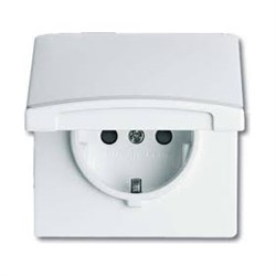Розетка SCHUKO, 16А 250В, с крышкой, с защитными шторками, уплотнительное кольцо в комплекте, серия Allwetter44, IP44, цвет альпийск - фото 113508