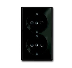 Розетка SCHUKO 16А 250В, двойная, с защитными шторками, серия Basic 55, цвет ch?teau-black - фото 115676