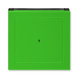 Накладка ABB Levit для выключателя карточного зелёный / дымчатый чёрный - фото 118596