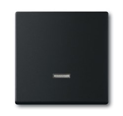 Клавиша для светорегулятора 6550 U-10x, 6560 U-101, 6593 U, 6526 U реле 6401 U-10x, 6402 U, серия Future/Axcent/Carat/Династия, цвет - фото 119625