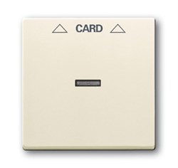 Плата центральная (накладка) для механизма карточного выключателя 2025 U, серия Future/Axcent/Carat/Династия, цвет слоновая кость - фото 119632