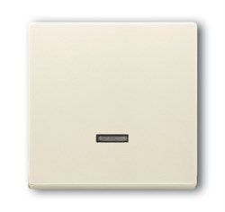 Клавиша для светорегулятора 6550 U-10x, 6560 U-101, 6593 U, 6526 U реле 6401 U-10x, 6402 U, серия Future/Axcent/Carat/Династия, цвет - фото 120028