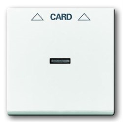 Накладка карточного выключателя, Impressivo, белый - фото 124704