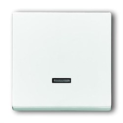 Клавиша для светорегулятора 6550 U-10x, 6560 U-101, 6593 U, 6526 U, реле 6401 U-10x, 6402 U, серия Future/Axcent/Carat/Династия, цве - фото 131162