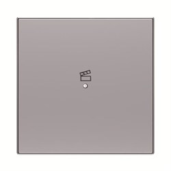 SRS-1-85PL Клавиша одинарная free@home, SKY, сцена, серебристая - фото 138893