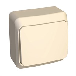 ЭТЮД О/У 1-клавишный ПЕРЕКЛЮЧАТЕЛЬ 10 АХ, КРЕМОВЫЙ, Россия - фото 149228