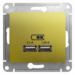 GLOSSA USB РОЗЕТКА A+A, 5В/2,1 А, 2х5В/1,05 А, механизм, ФИСТАШКОВЫЙ - фото 151797