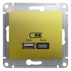 GLOSSA USB РОЗЕТКА A+С, 5В/2,4А, 2х5В/1,2 А, механизм, ФИСТАШКОВЫЙ - фото 151801