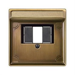 MERTEN ЦЕНТР. НАКЛАДКА для мех-ма TAE/Audio поле для надписи, АНТ. ЛАТУНЬ, SD - фото 153571