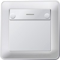W59 Карточный ВЫКЛЮЧАТЕЛЬ, без задержки отключения, 16А, в сборе, МАТОВЫЙ ХРОМ - фото 168589