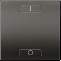 2-КНОП. ВЫК-ЛЬ С ИНДИКАТОРОМ LED, ГРАФИТ - фото 170566