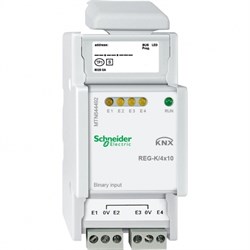 БИНАРНЫЙ ВХОД REG-K/4X10 - фото 171400