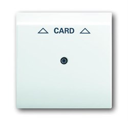 Плата центральная (накладка) для механизма карточного выключателя 2025 U, серия impuls, цвет альпийский белый - фото 94966