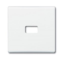 Клавиша для механизма 1-клавишного выключателя/переключателя/кнопки, с окном для линзы/символа, IP44, серия Allwetter 44, цвет слоно - фото 95305