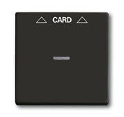 Плата центральная (накладка) для механизма карточного выключателя 2025 U, серия Basic 55, цвет ch?teau-black