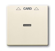 Плата центральная (накладка) для механизма карточного выключателя 2025 U, серия Future/Axcent/Carat/Династия, цвет слоновая кость