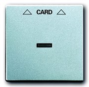 Накладка карточного выключателя, Impressivo, алюминий