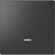 MERTEN D-Life КЛАВИША 1-ная с линзой для LED модуля, АНТРАЦИТ