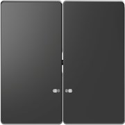 MERTEN D-Life КЛАВИША 2-ная с линзой для LED модуля, АНТРАЦИТ