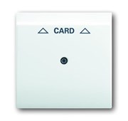 Плата центральная (накладка) для механизма карточного выключателя 2025 U, серия impuls, цвет альпийский белый