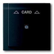 Плата центральная (накладка) для механизма карточного выключателя 2025 U, серия impuls, цвет чёрный бархат