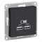 ATLASDESIGN USB РОЗЕТКА A+A, 5В/2,1 А, 2х5В/1,05 А, механизм, КАРБОН - фото 148090