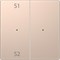 MERTEN D-Life PlusLink КЛАВИША 2-ная с S1/S2, пусто, ШАМПАНЬ, SD - фото 153197